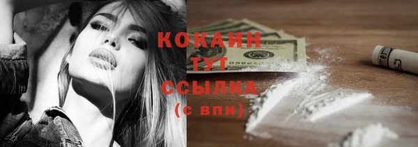 spice Алзамай