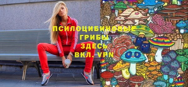 spice Алзамай