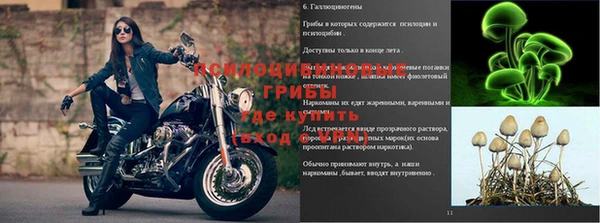 мескалин Алексеевка