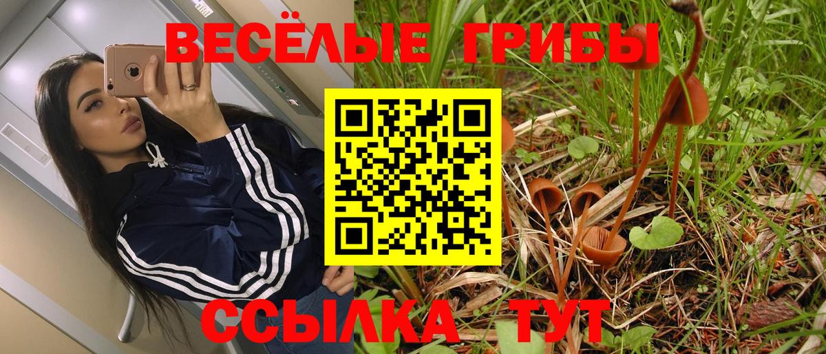 Псилоцибиновые грибы мицелий  Галлюциногенные грибы мицелий  Вход с VPN  Белгород 