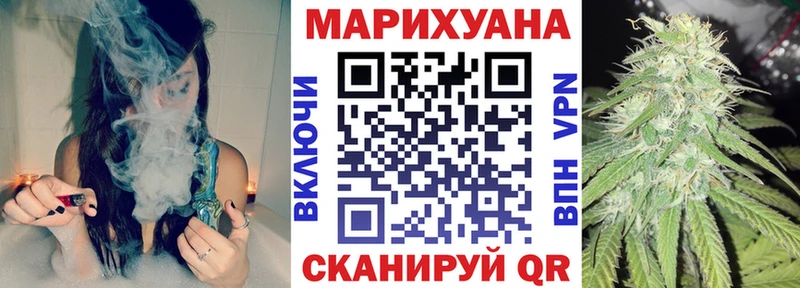 Конопля план Белгород